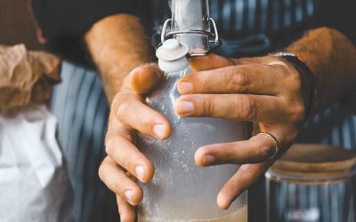 Il kombucha!