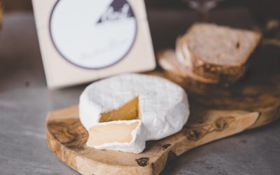 Il formaggio è vegetariano?