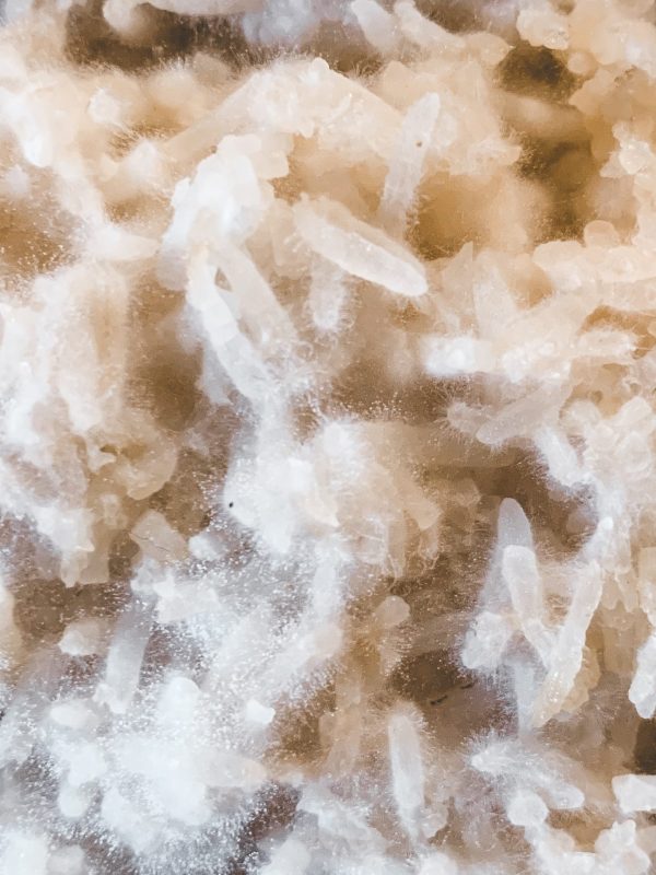 The Big Fermenter's Pack: fermentazione selvaggia + l'alchimia del koji + la fromagerie vegetale - immagine 3