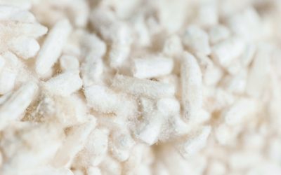 Proprietà e benefici dell’Aspergillus oryzae: la magia del koji