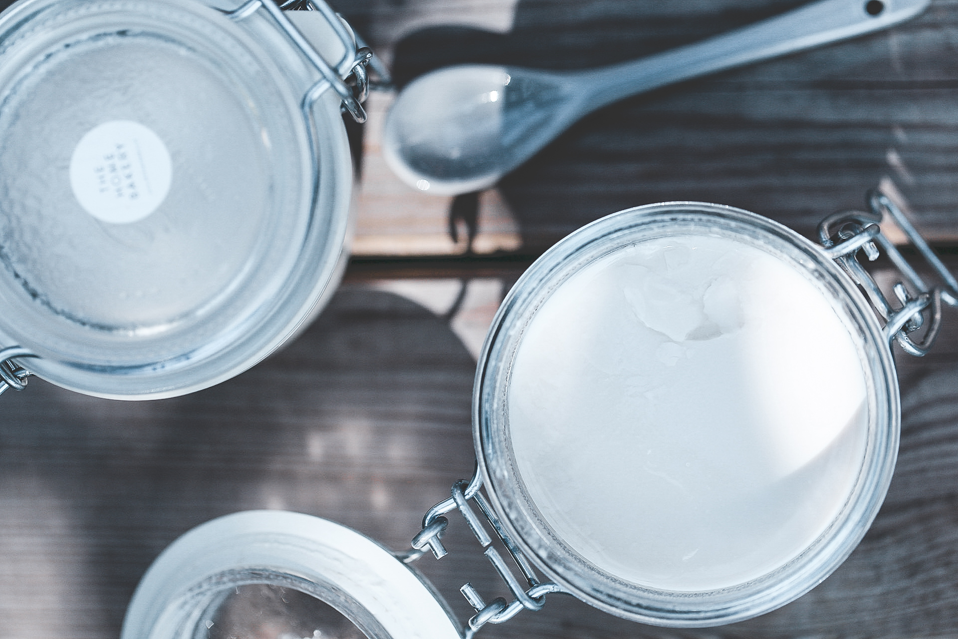 Workshop – Gli yogurt vegetali e le fermentazioni termofile