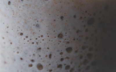 Metodi alternativi per l’utilizzo del lievito madre